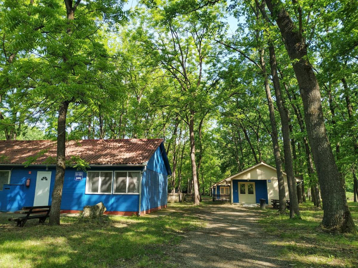 Dorcas Center&Camping Hotel Debrecen Esterno foto